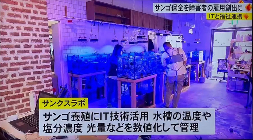 メディアに掲載されたサンクスラボ代のサンゴ保全事業