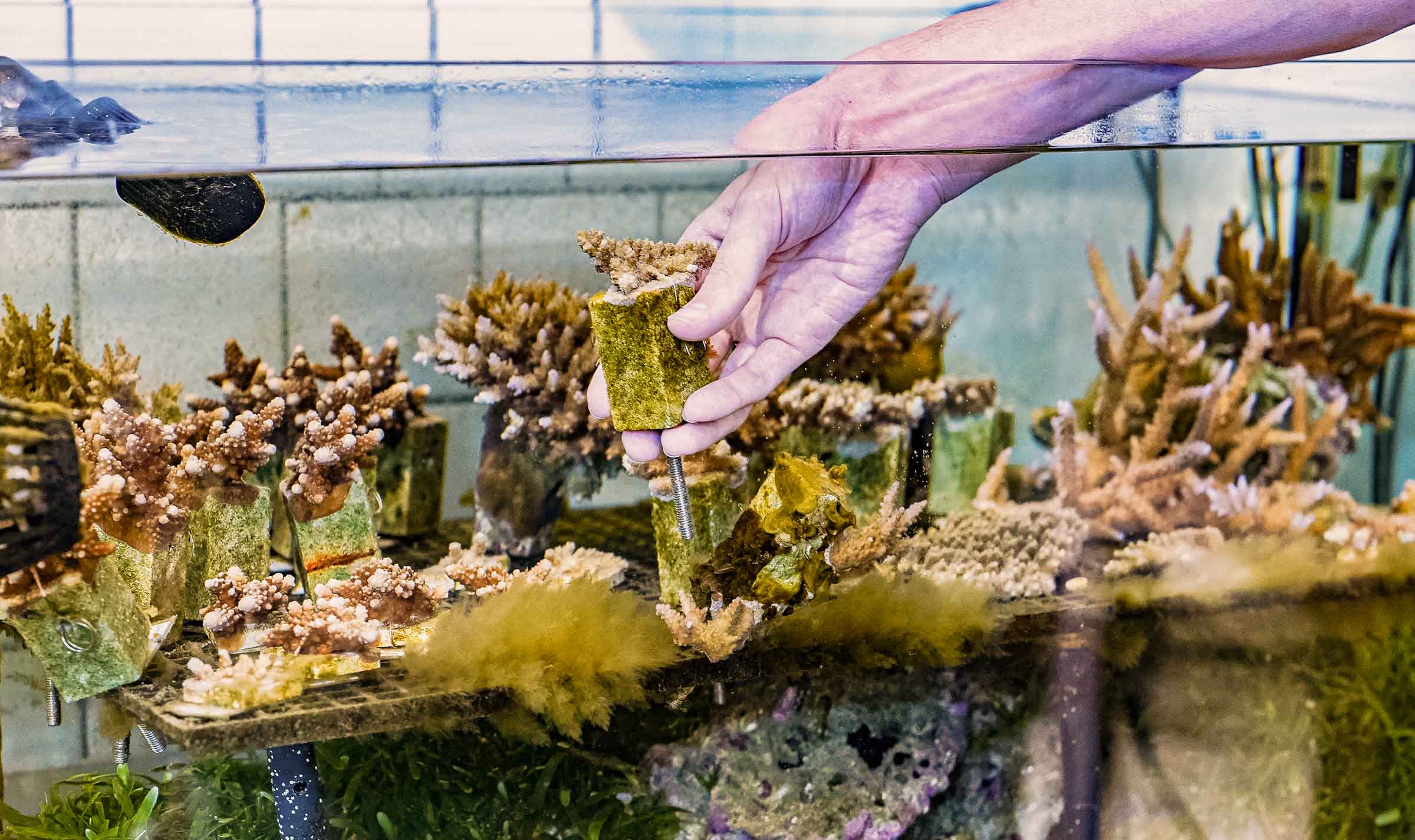 サンクスラボのサスティナブル領域に関する記事