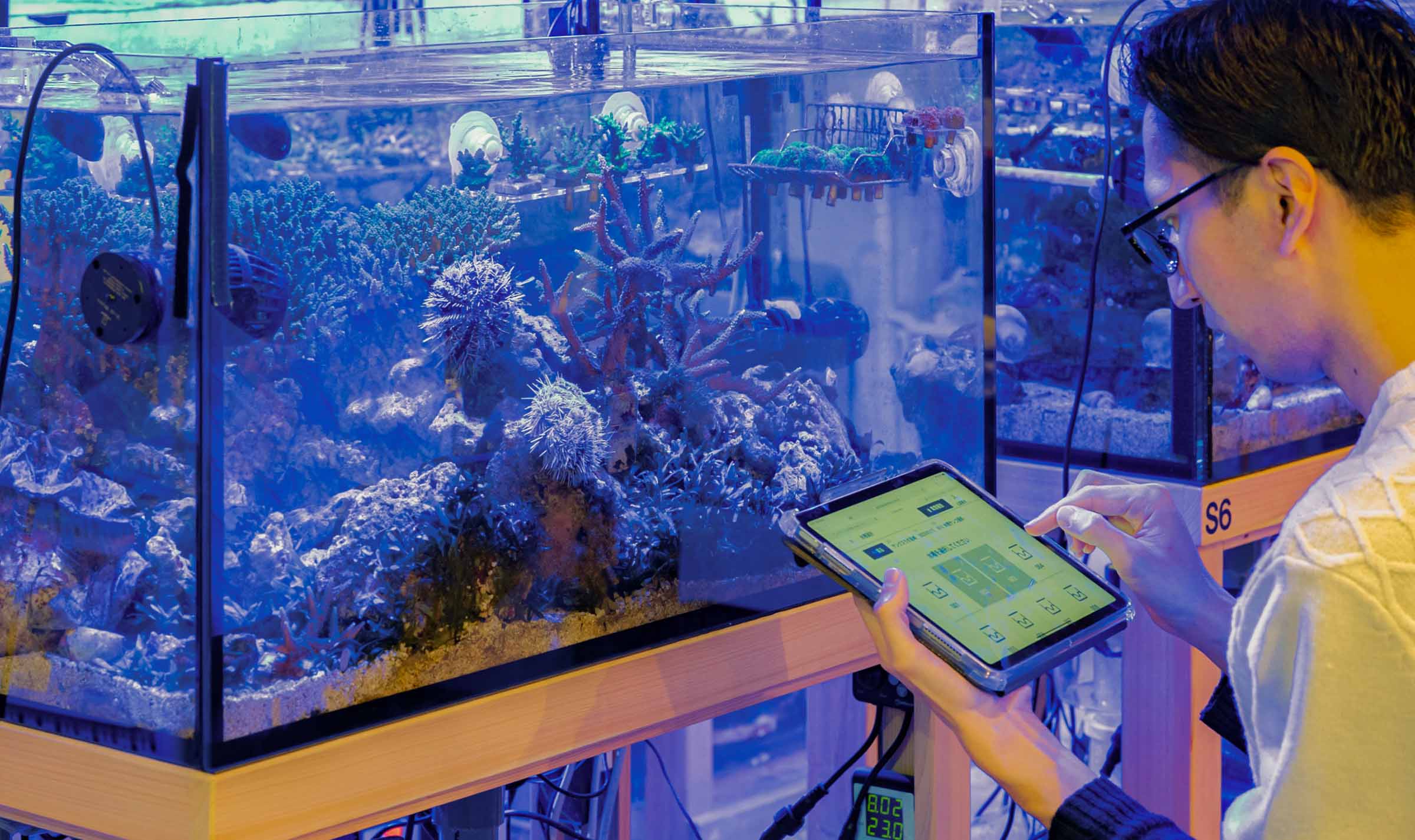 サンクスラボのデジタル領域に関する記事