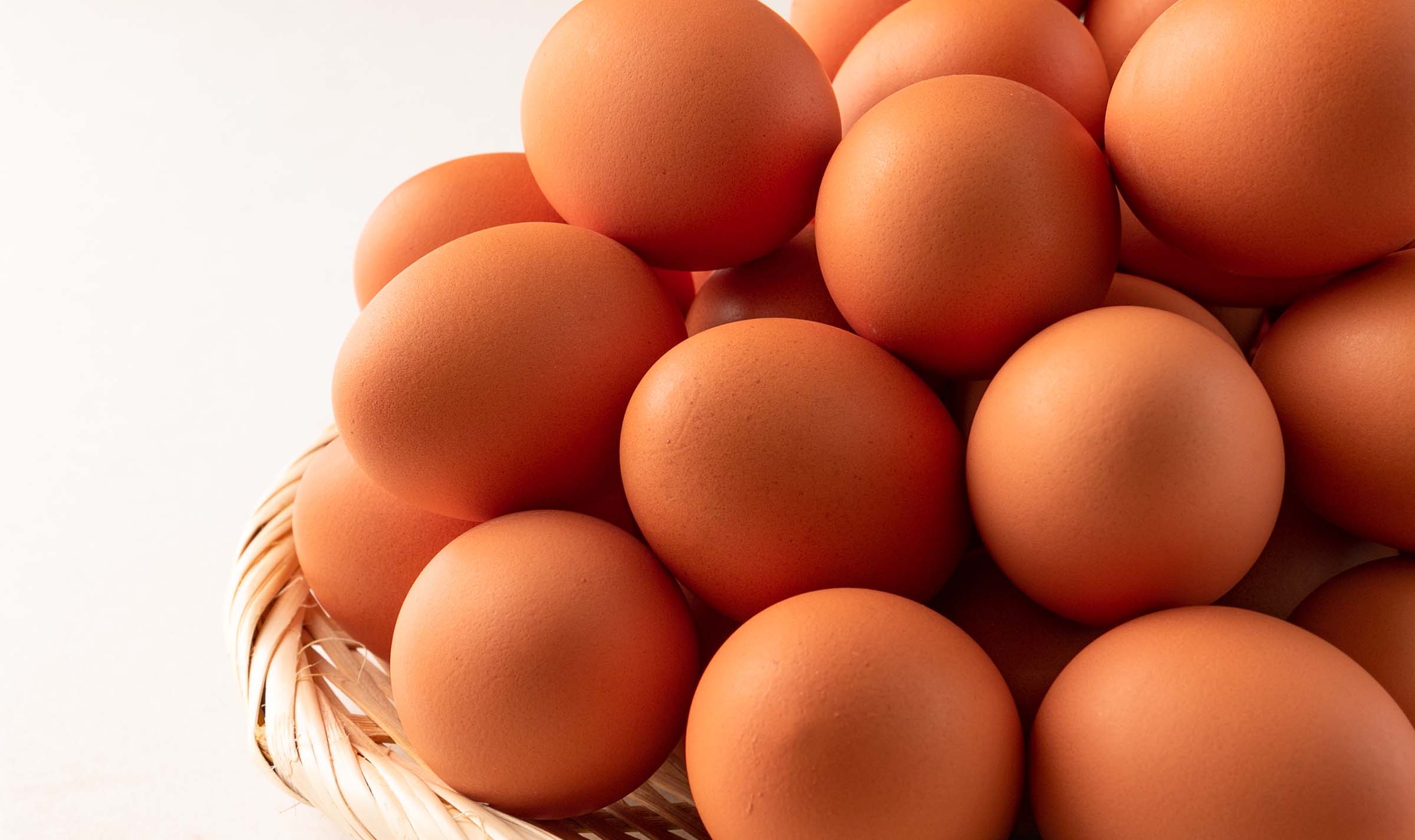 サンクスラボのサスティナブル領域に関する記事