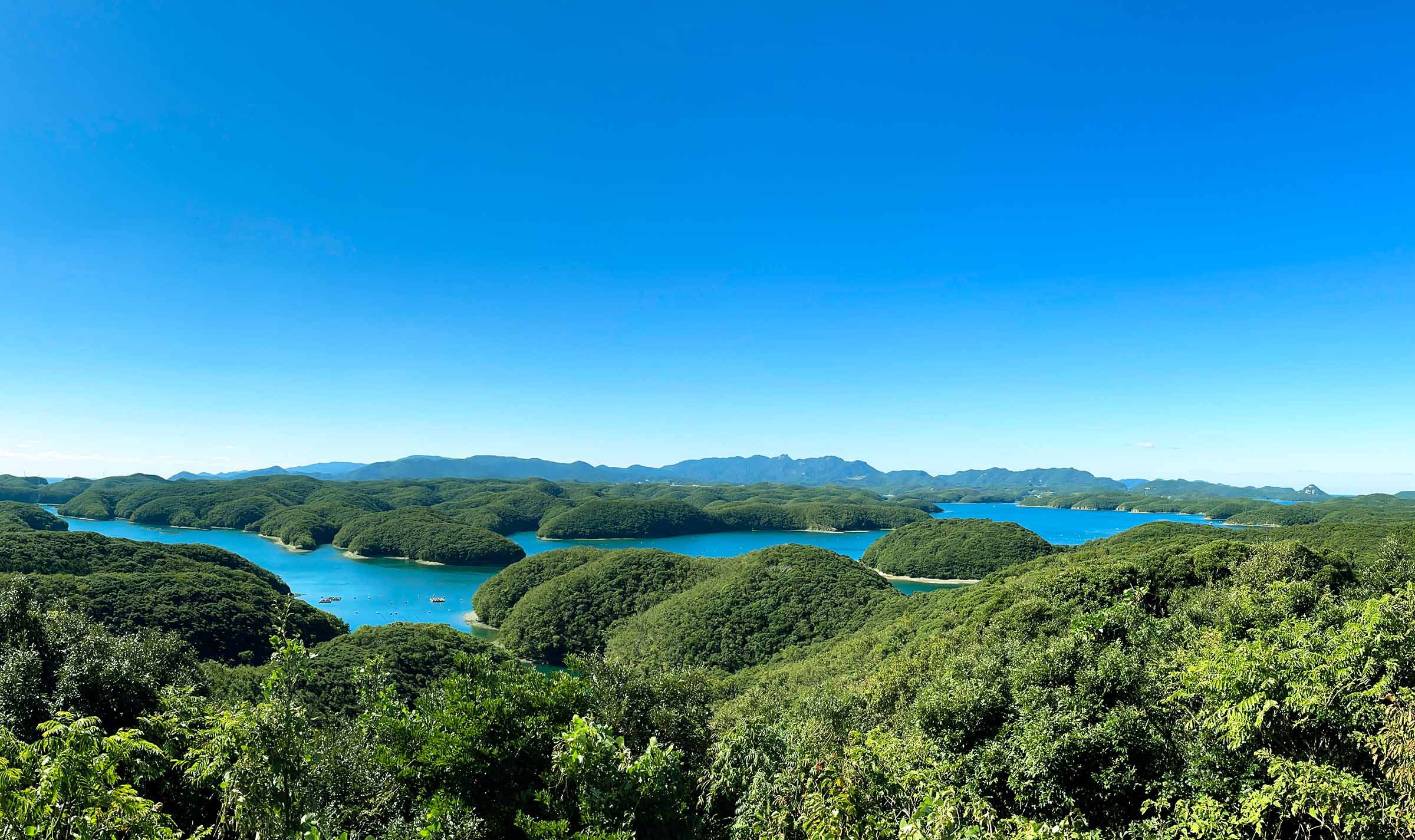 サンクスラボのサスティナブル領域に関する記事