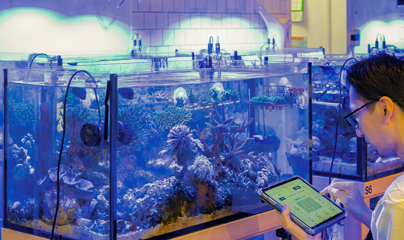 社内で養殖中しているサンゴの水槽の状態を計測する社員