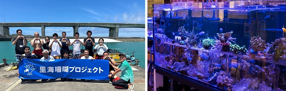 里海珊瑚プロジェクトメンバーとオフィスで養殖中のサンゴ